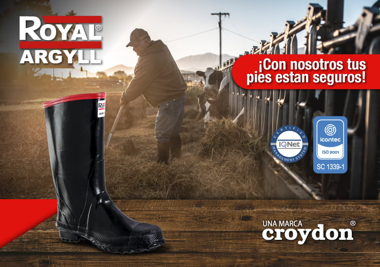 Botas de trabajo para el campo: tipos y características