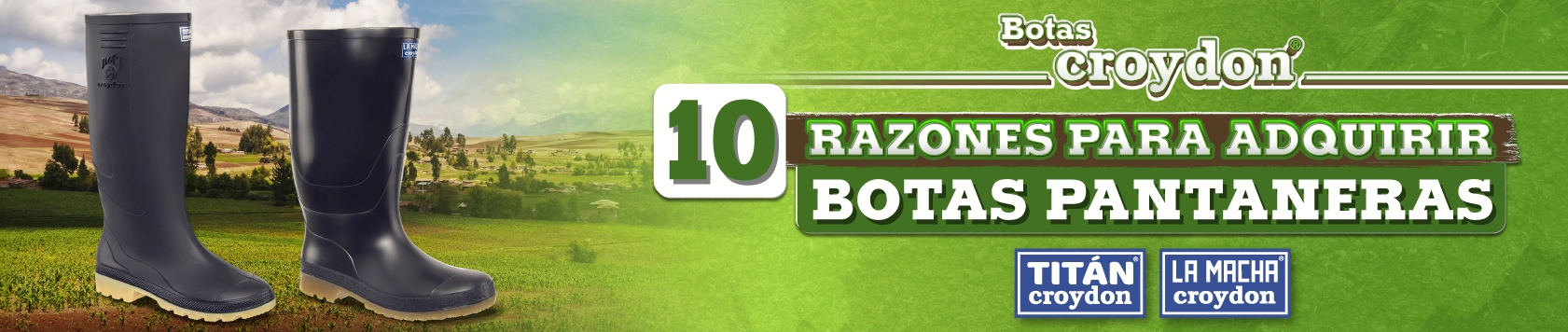 Botas pantaneras